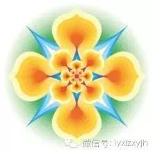 1495088325579426.jpg 1494923839969245.jpg