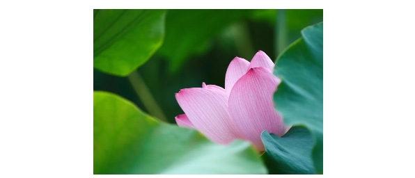 1524464198689879.jpg 2.jpg