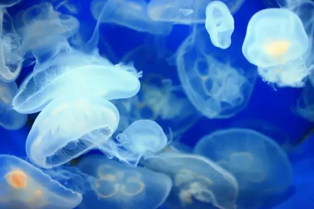 1538188024900405.jpg 微信圖片_20180929102519.jpg