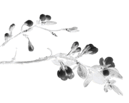 1538188844126132.gif 微信圖片_20180929101946.gif