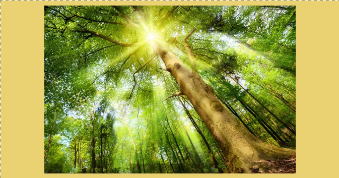 1541384526715401.png blob.png