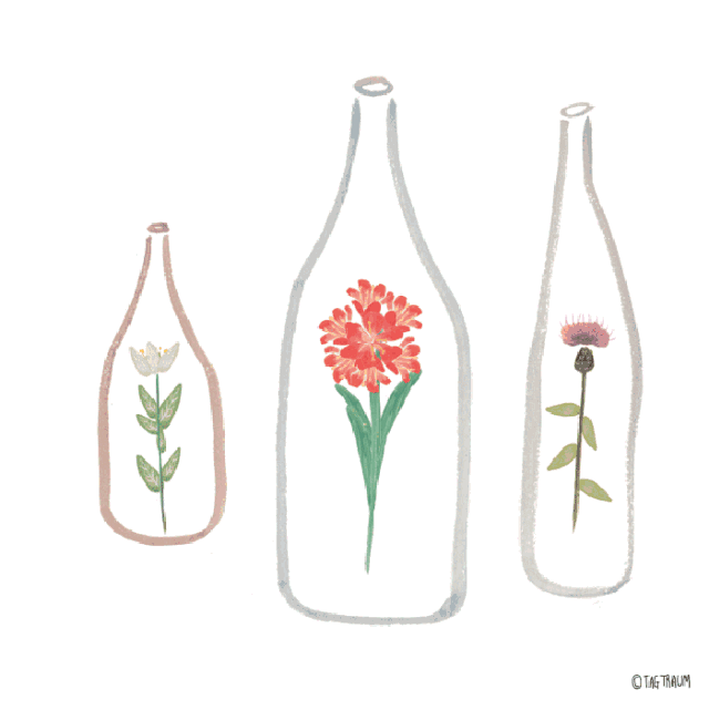 1547630975132237.gif 1547630975132237.gif