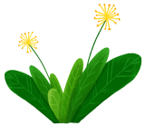 1553667515474731.gif 微信圖片_20190327141822.gif