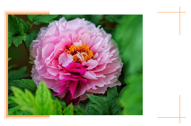 1558403394191545.png image.png