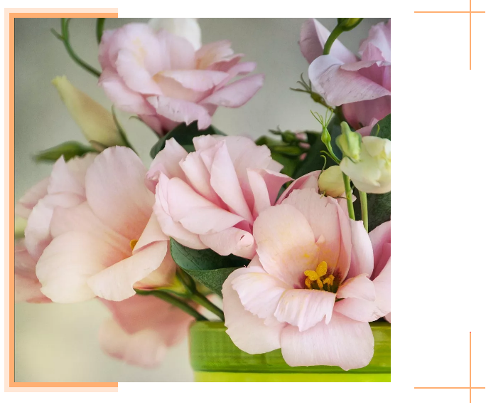 1560132644995157.png image.png