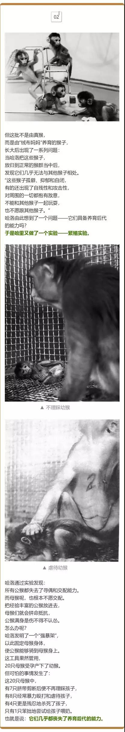 1561529953495062.jpg 微信圖片_20190626141631.jpg