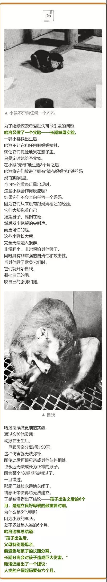 1561530023515429.jpg 微信圖片_20190626141742.jpg