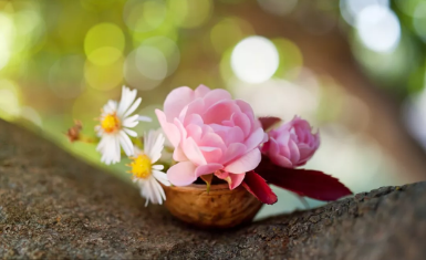 1563249666201920.png image.png