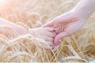 1563249735104560.png image.png