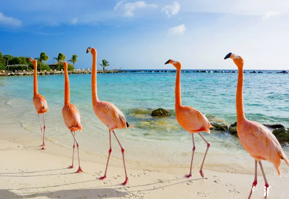 1598836834393965.png 微信圖片_20200831092020.png