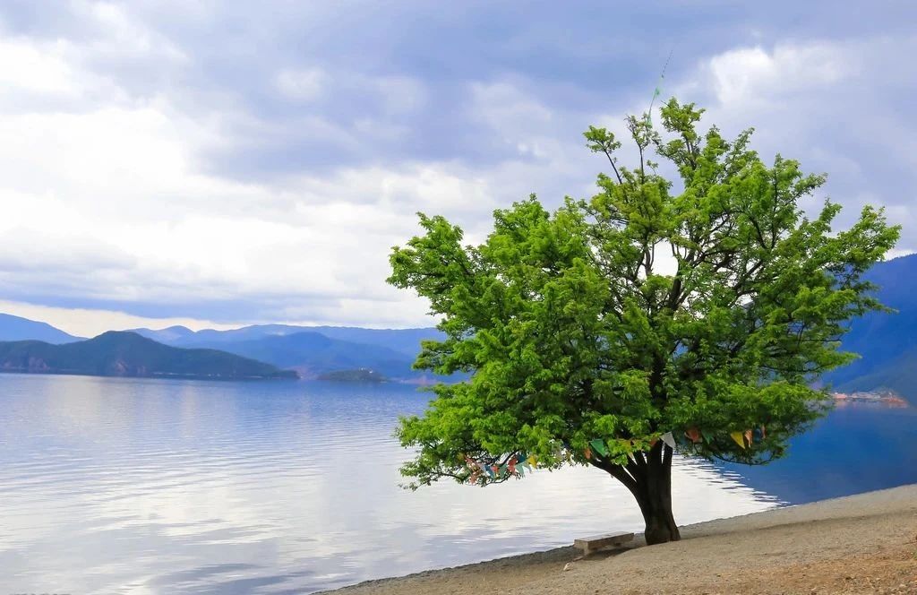 1600915079416833.jpg 微信圖片_20200924103653.jpg