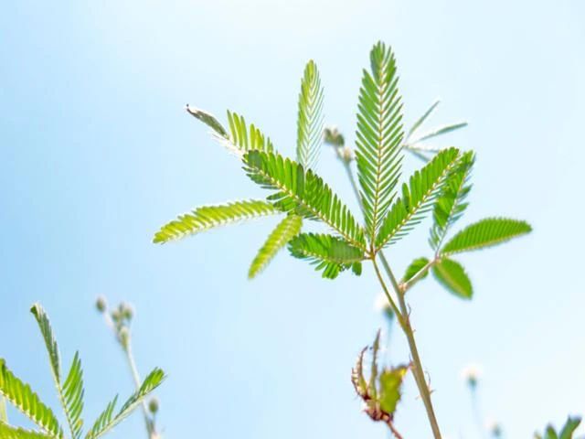 1610705528564139.jpg 微信圖片_20210115181108.jpg