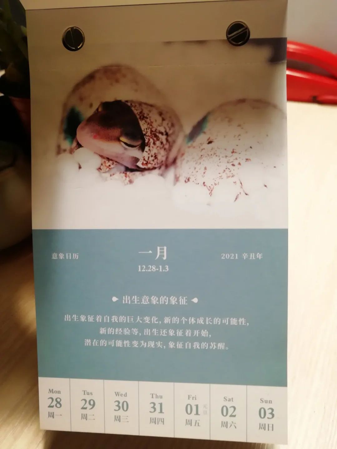 1610705572584522.jpg 微信圖片_20210115181127.jpg