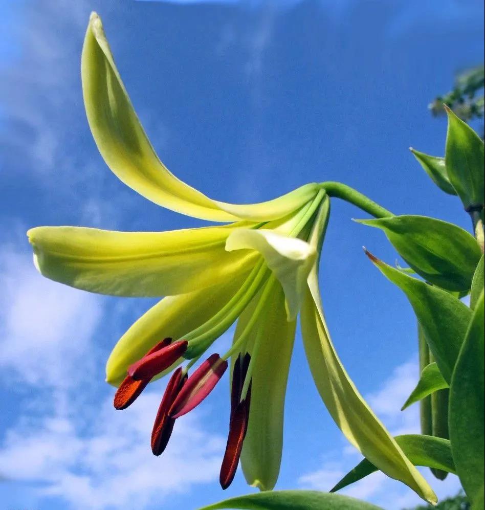 1612519613126966.jpg 微信圖片_20210205180604.jpg