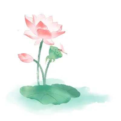 1636677321130159.jpg 1636677321130159.jpg