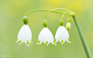  11月30日心理沙龍：做智慧父母，理解孩子行為背后隱藏的真實心理需求 