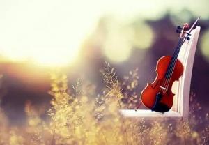 我很幸福,我很痛苦