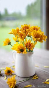 【周五晚公益線上心理課】學(xué)習(xí)考試焦慮，父母做孩子的守護(hù)神！！