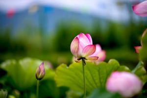 一起加入尋根心理成長小組吧